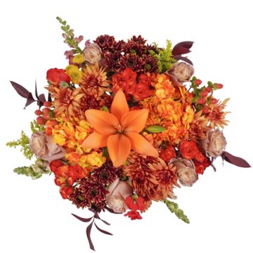 BLOOMS by H-E-B Pumpkin Spice Latte Bouquet