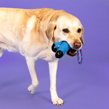 Woof & Whiskers Jump Rope Purple Rope Dog Toy