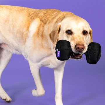 Woof & Whiskers Dumbbell Dog Toy
