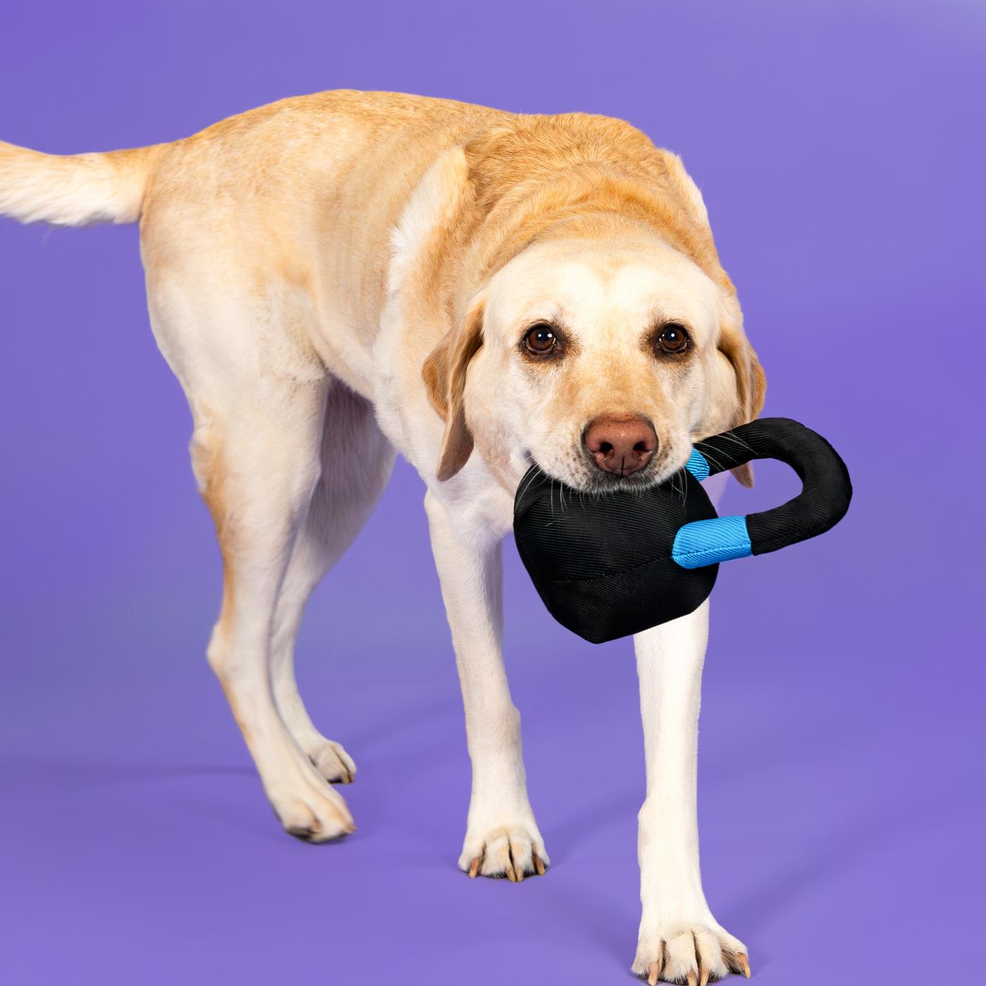 Woof & Whiskers Kettlebell Dog Toy; image 3 of 5