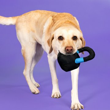 Woof & Whiskers Kettlebell Dog Toy