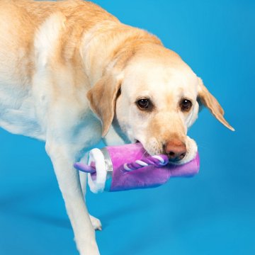 Woof & Whiskers Water Cup Purple Rope Dog Toy