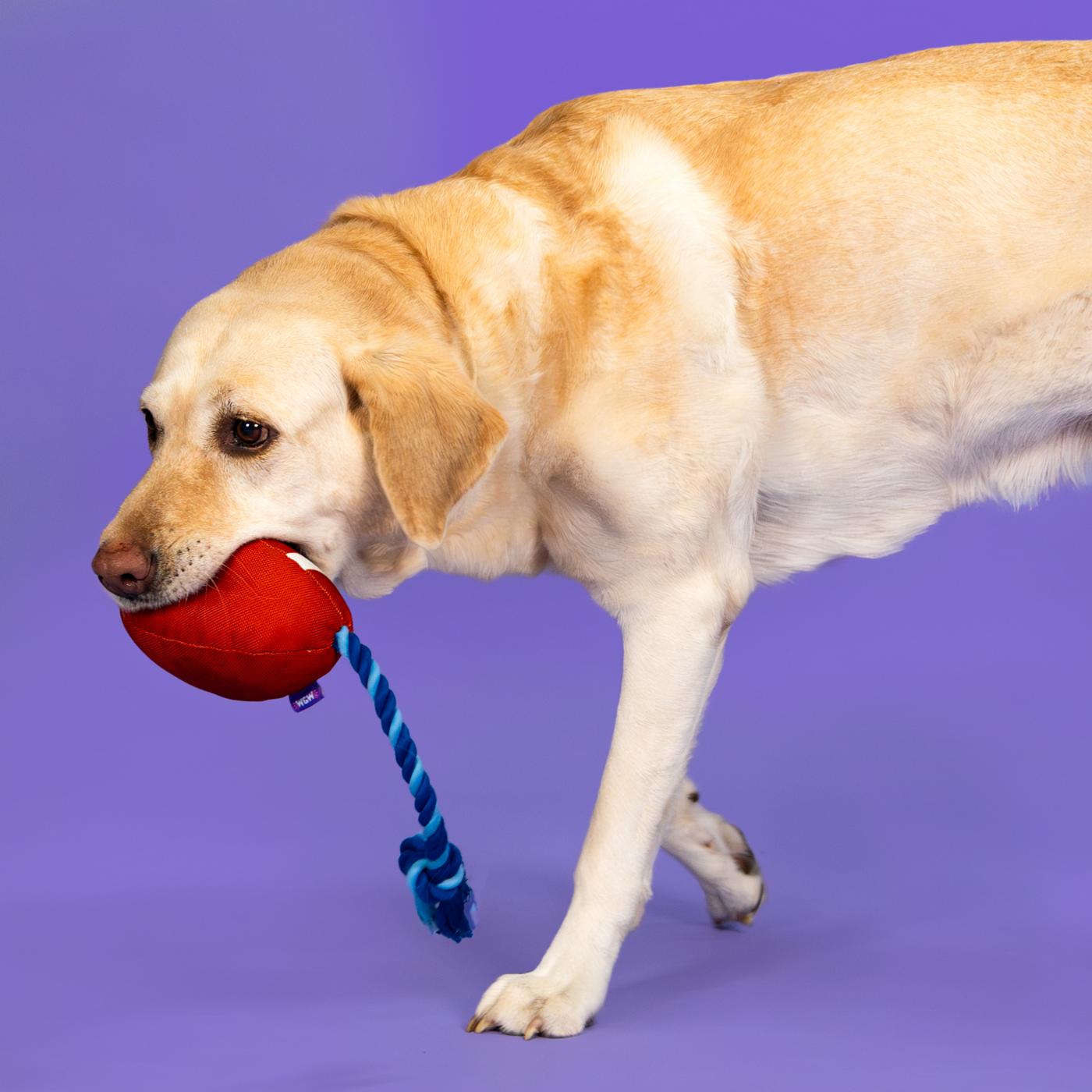 Woof & Whiskers Football With Rope Dog Toy; image 3 of 5