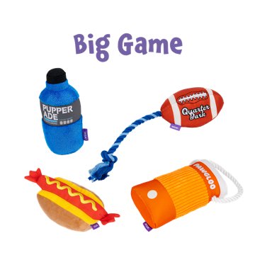 Woof & Whiskers Football With Rope Dog Toy