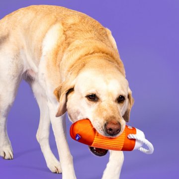 Woof & Whiskers Pawgloo With Rope Dog Toy