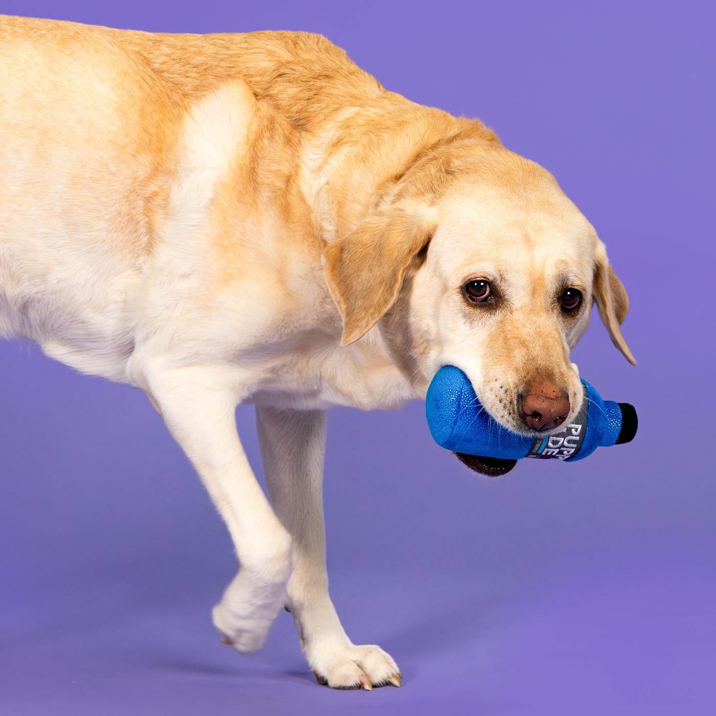 Woof & Whiskers Pupperade Dog Toy; image 3 of 5