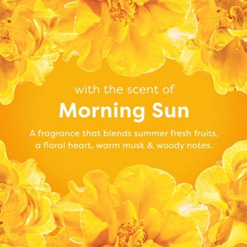 Suavitel Complete Care Fabric Conditioner Dryer Sheets - Morning Sun