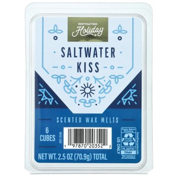Destination Holiday Saltwater Kiss Scented Wax Melts, 2.5 oz