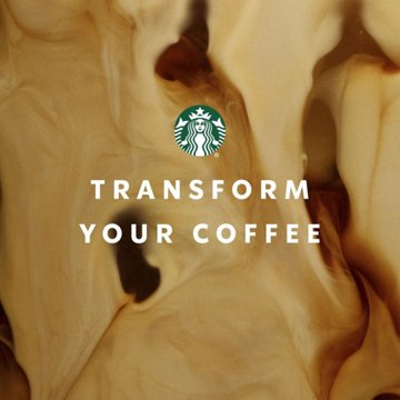 Starbucks Liquid Coffee Creamer - Chestnut Praline Latte