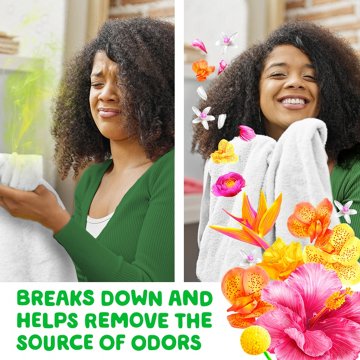 Gain Rinse+Renew Fabric Rinse - Hibiscus Hula