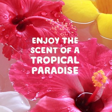 Gain Rinse+Renew Fabric Rinse - Hibiscus Hula