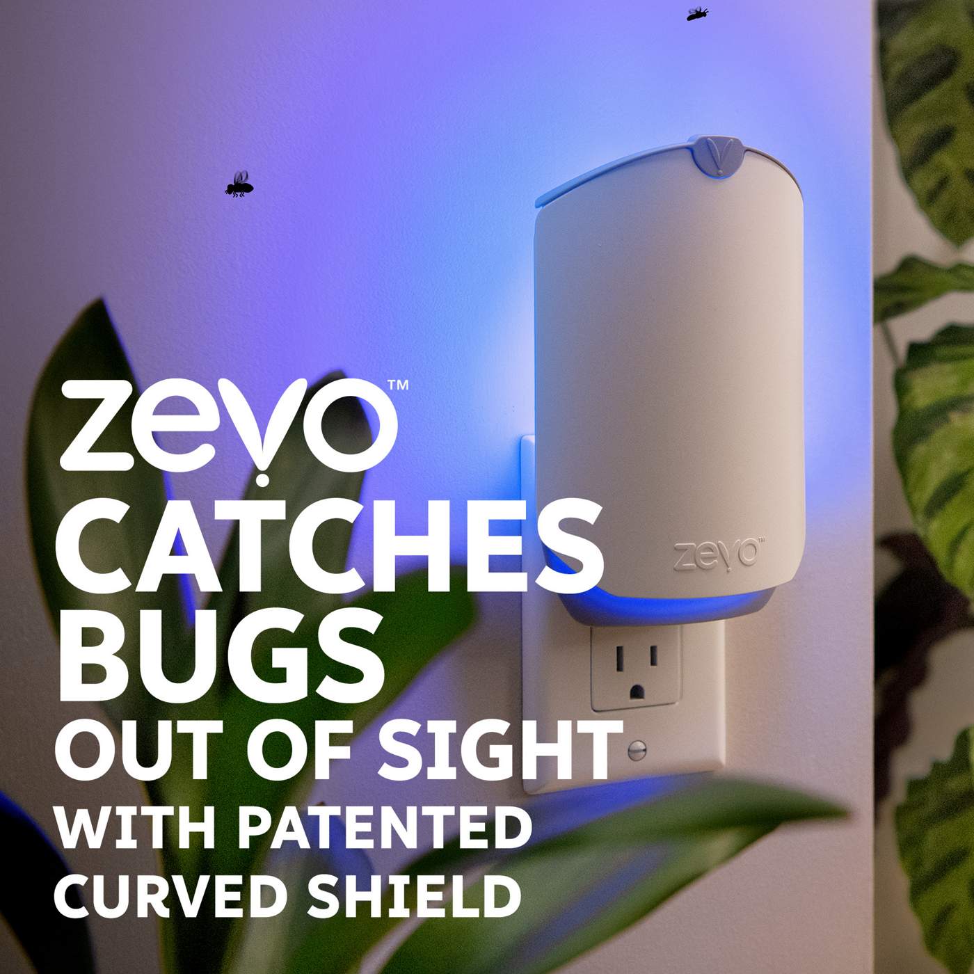 Zevo Flying Insect Trap - Shop Insect killers at H-E-B