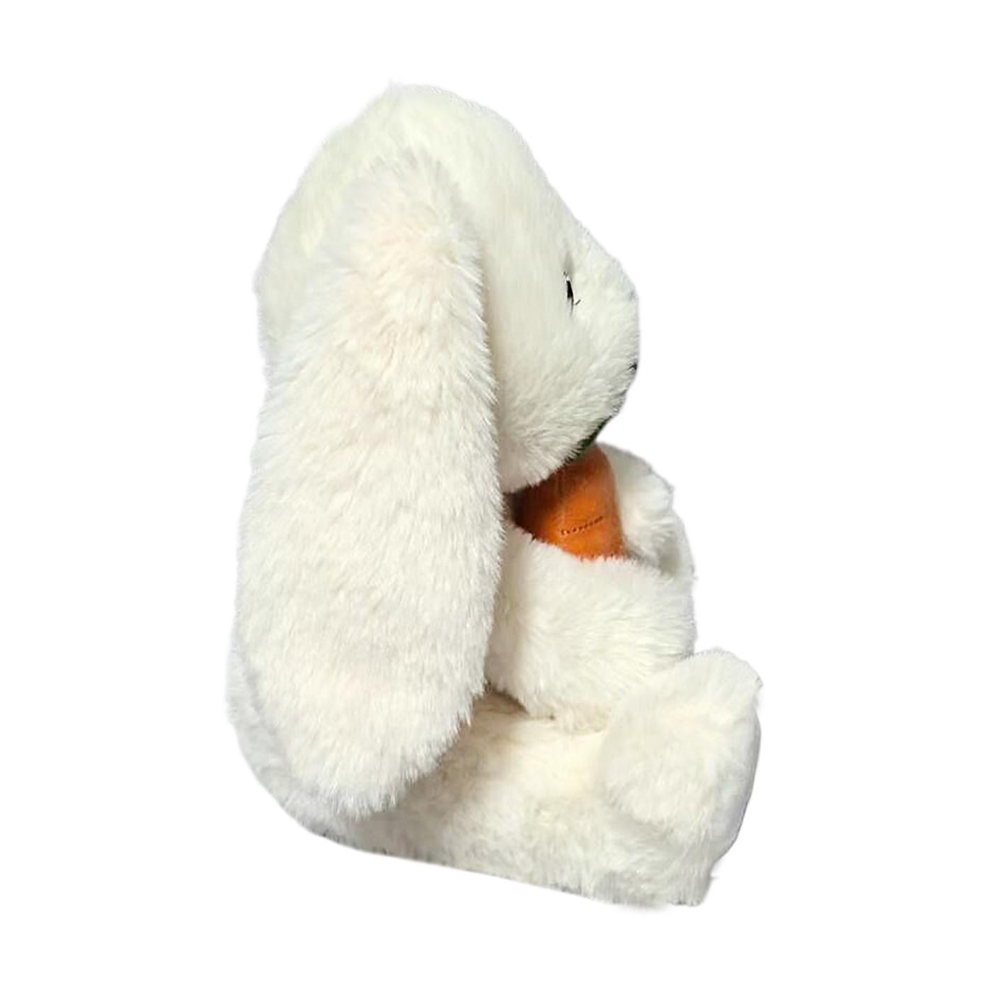 Destination Holiday Bunny with Carrot Easter Plush; image 4 of 4