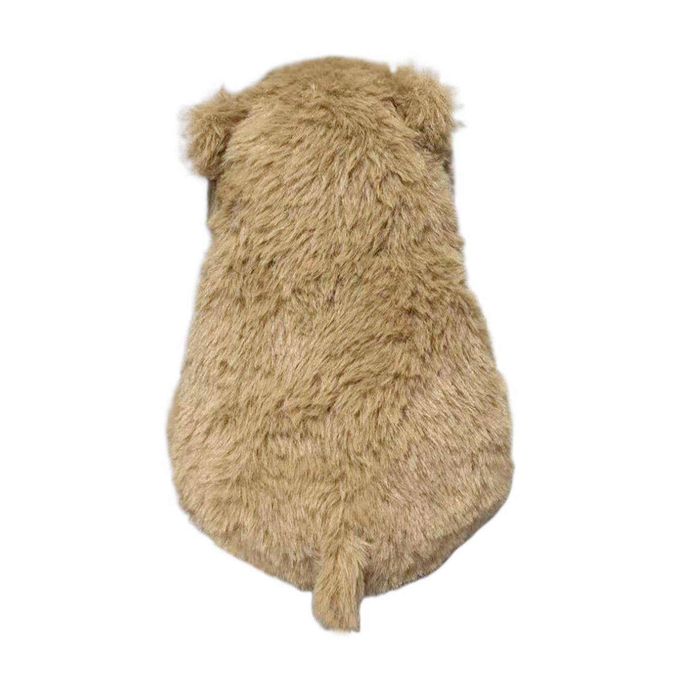 Destination Holiday Capybara with Tulip Easter Plush; image 2 of 4