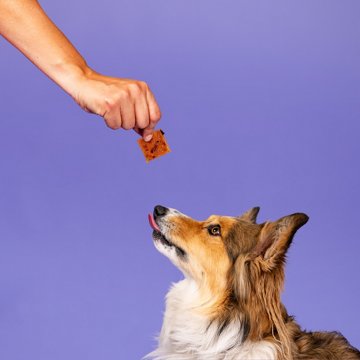 Woof & Whiskers Square Bites Dog Treats - Duck & Pumpkin, 4.51 oz