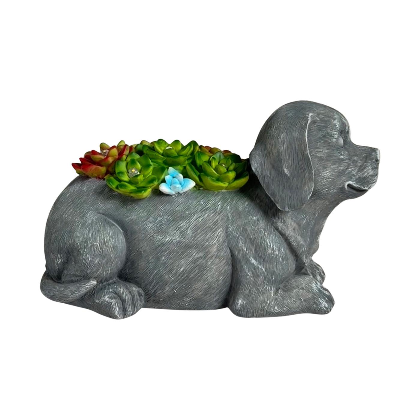 Forever Gifts Solar Succulent Statue - Dog; image 1 of 6