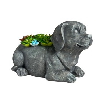 Forever Gifts Solar Succulent Statue - Dog