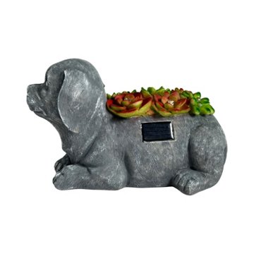 Forever Gifts Solar Succulent Statue - Dog