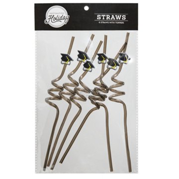 Destination Holiday Graduation 2026 Party Straws, 6 ct