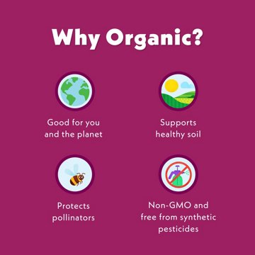 Once Upon a Farm Organic & Dairy Free Oat Milk Smoothie - Bananas For Berries