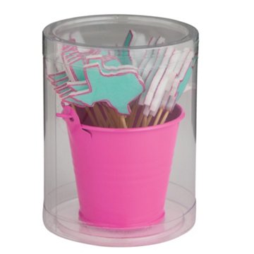 Destination Holiday Texas Charcuterie Picks in Storage Tin Pail, 25 ct