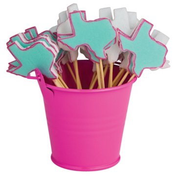 Destination Holiday Texas Charcuterie Picks in Storage Tin Pail, 25 ct