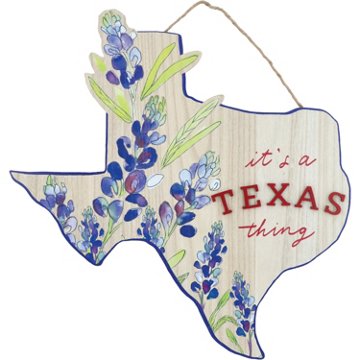Destination Holiday It's A Texas Thing Wall Decor, 24'' x 23.8''