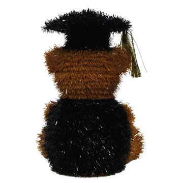 F C Young & Co Graduation 2026 Tinsel Bear