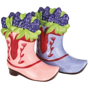 Destination Holiday Bluebonnet Boot Shaped Salt & Pepper Shaker Set, 2 pc