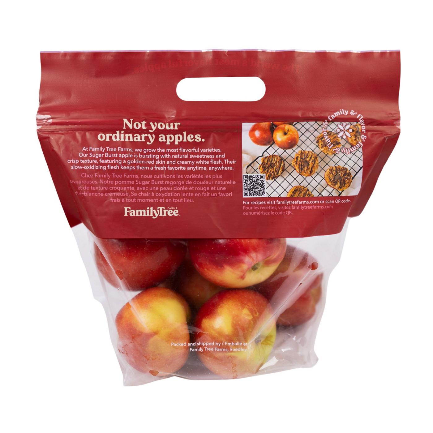 Fresh Sugar Burst Apples - Shop Apples at H-E-B