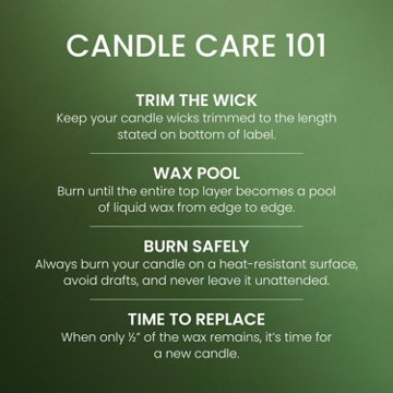 Yankee Candle Balsam & Cedar Scented Jar Candle