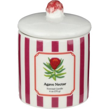 Destination Holiday Agave Nectar Scented Striped Ceramic Candle with Lid, 6 oz