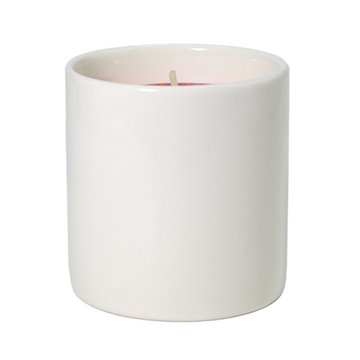 Destination Holiday Strawberry Patch Scented Candle, 8 oz