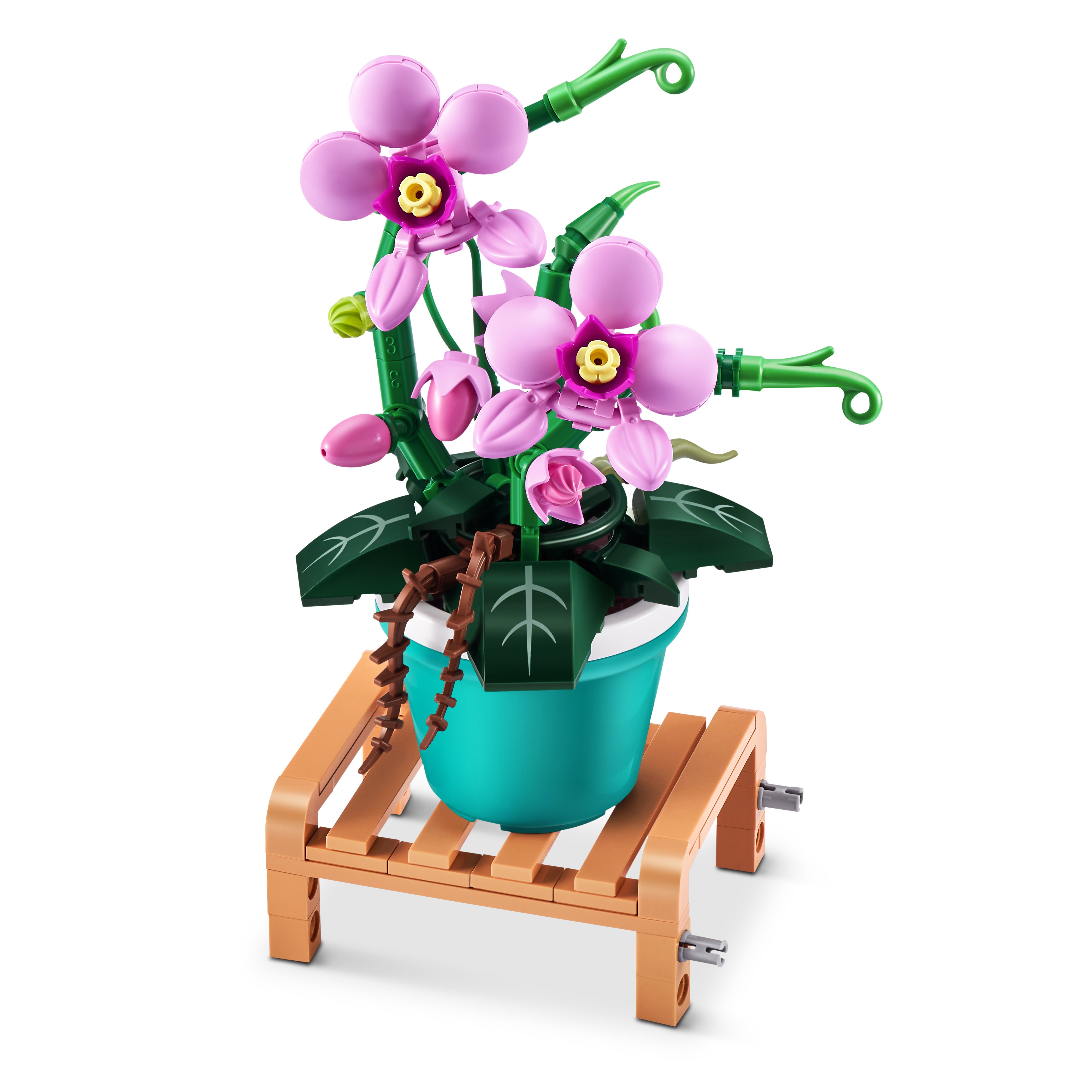 Zuru MAX Garden Collection Capsule - Phalaenopsis - Shop Lego