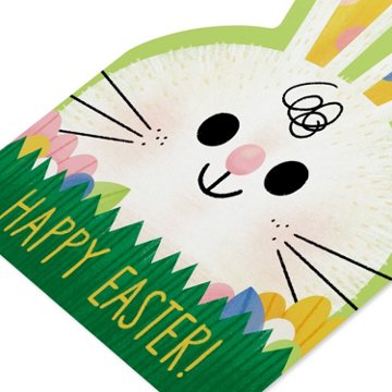 American Greetings Easter Bunny Card (Hip Hip Hooray), 6.75" x 4.625"