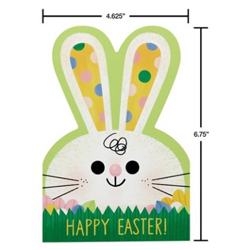 American Greetings Easter Bunny Card (Hip Hip Hooray), 6.75" x 4.625"