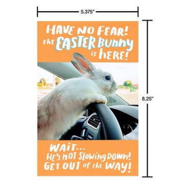 American Greetings Funny Easter Card - Not Slowing Down, 8.25" x 5.375"