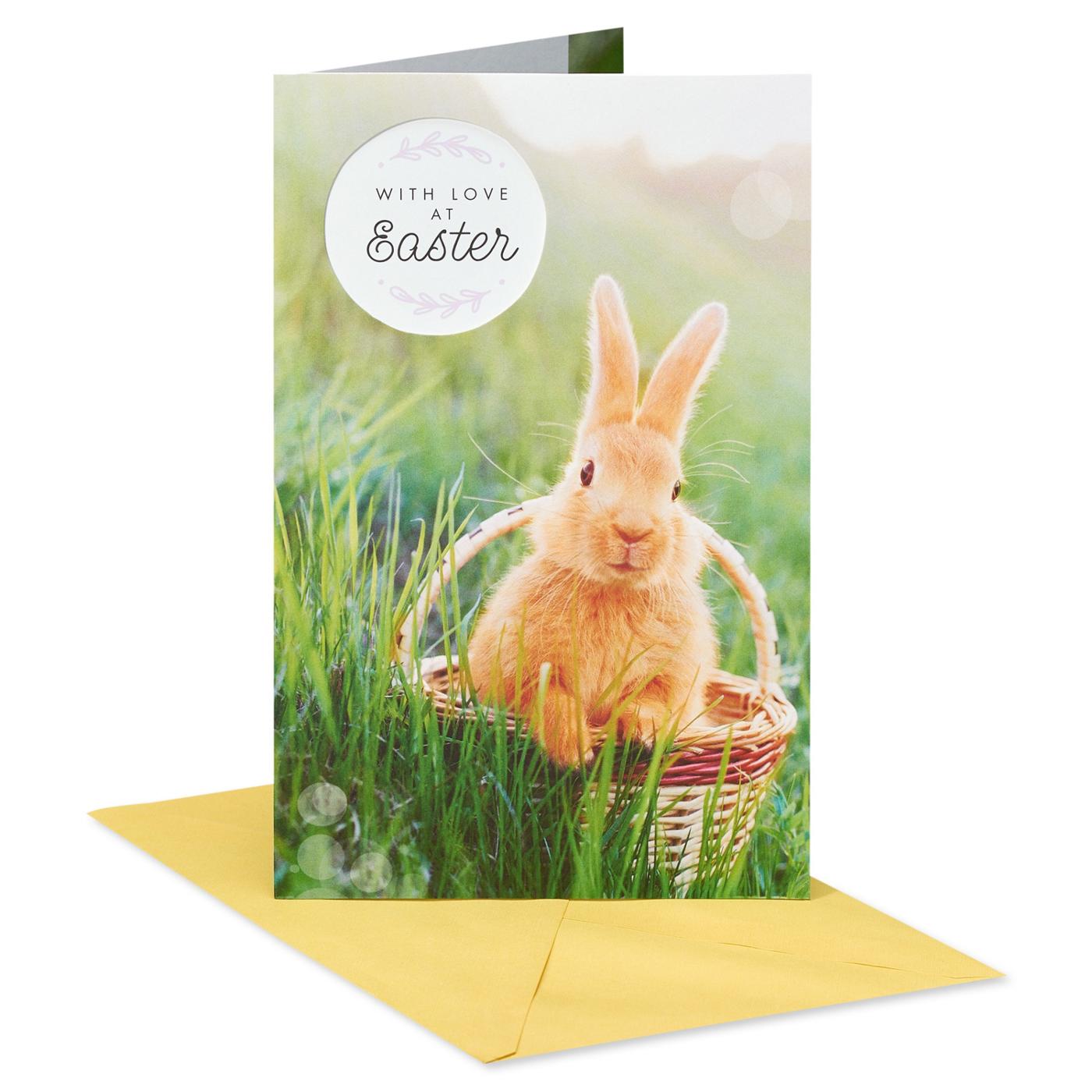 American Greetings Easter Card - Springtime Bunny; image 1 of 6