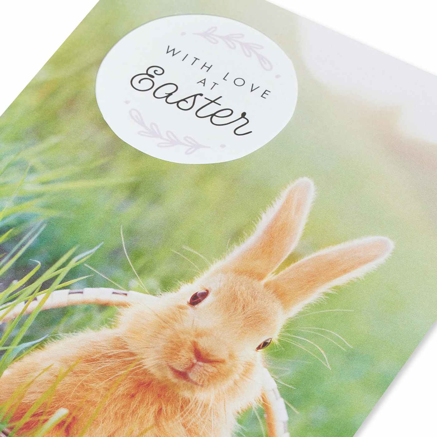 American Greetings Easter Card - Springtime Bunny; image 2 of 6