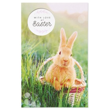 American Greetings Easter Card - Springtime Bunny, 8.25" x 5.375"