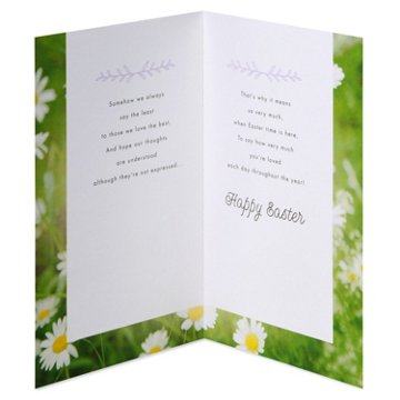 American Greetings Easter Card - Springtime Bunny, 8.25" x 5.375"