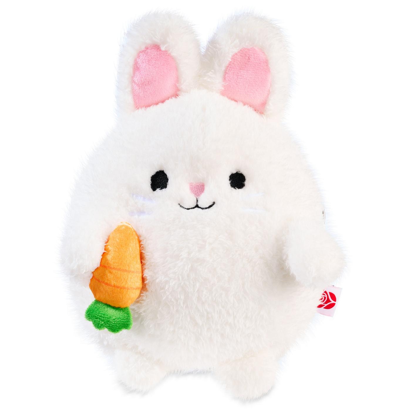 American Greetings Easter Plush Bunny with Zipper Pouch; image 1 of 5