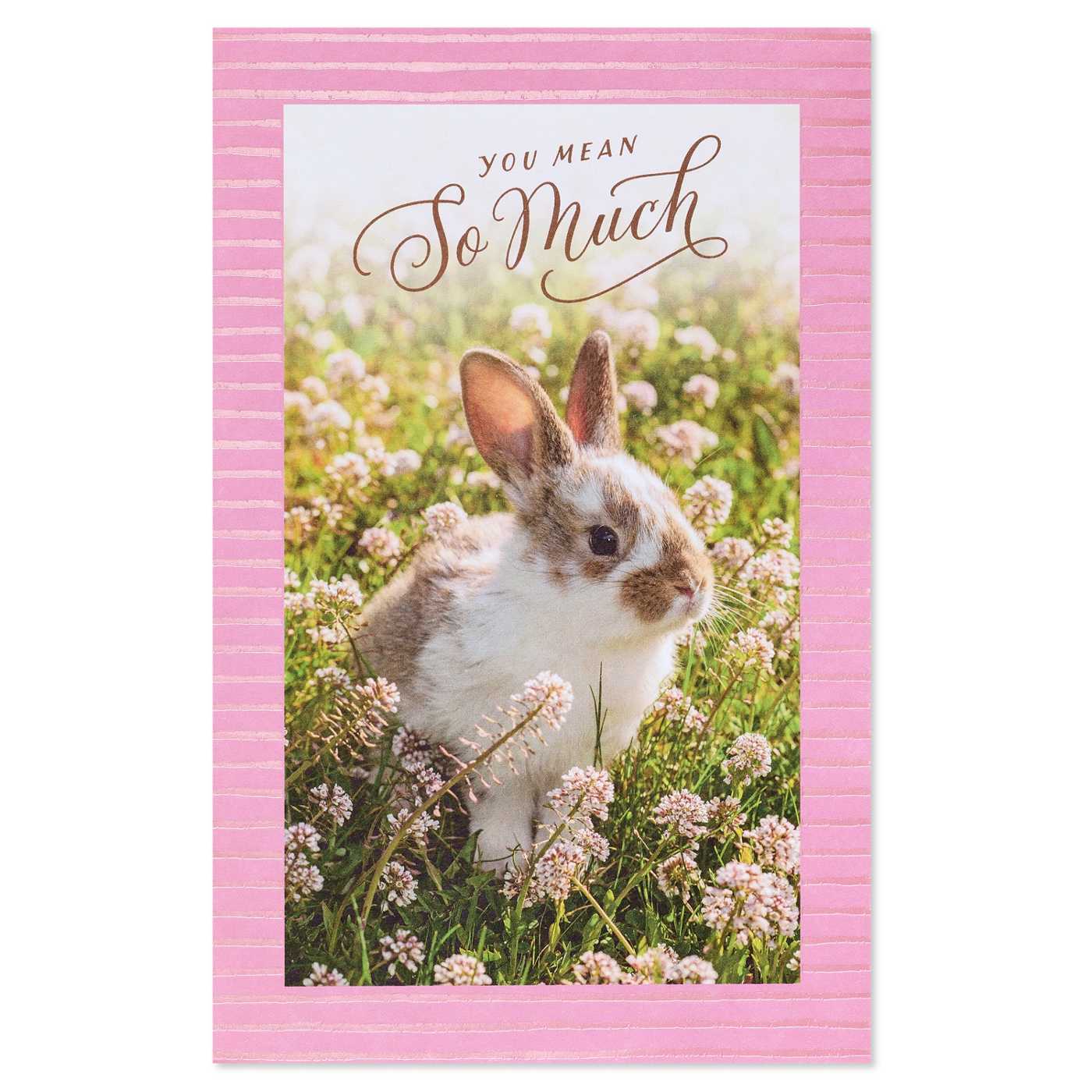 American Greetings Easter Card - Appreciated; image 2 of 6