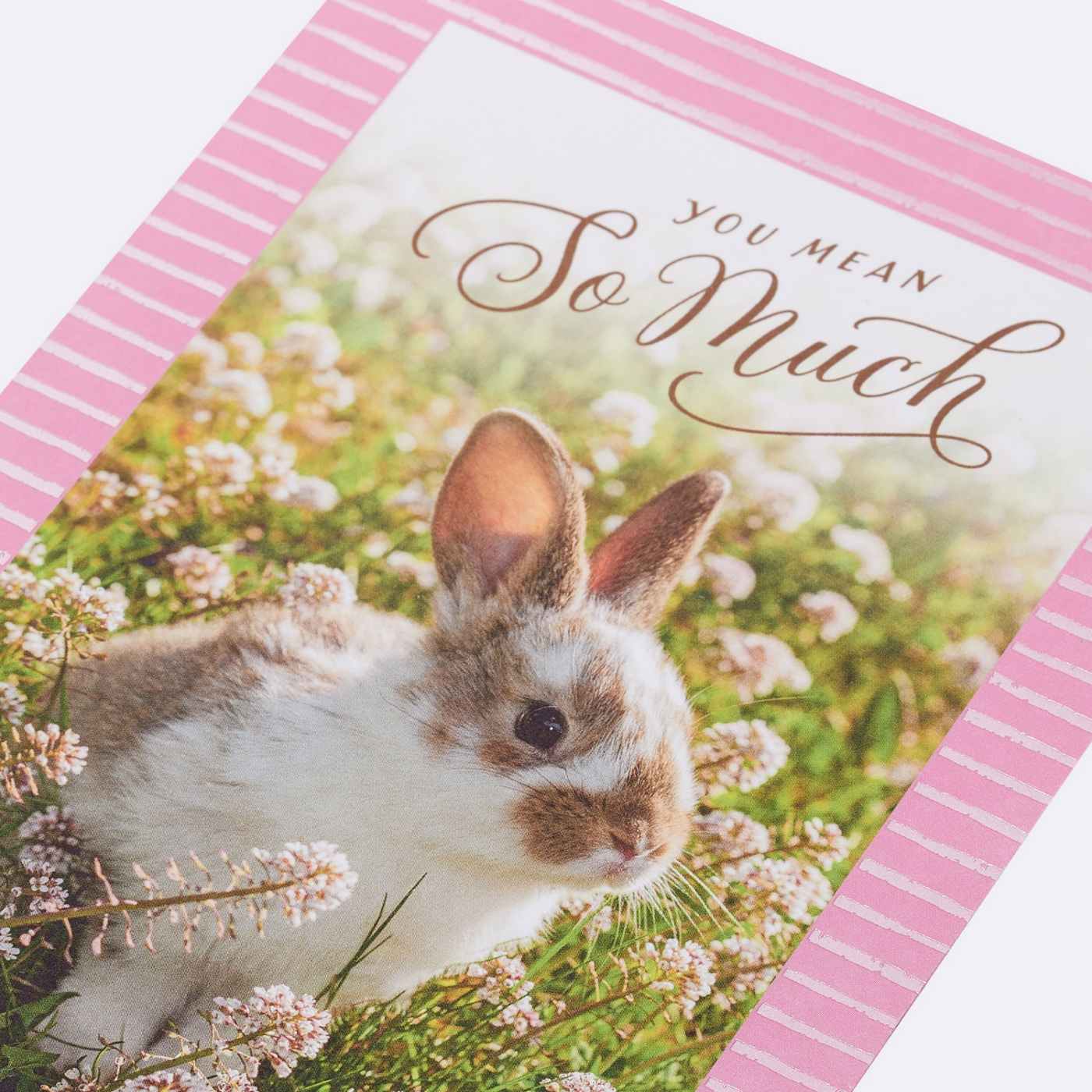 American Greetings Easter Card - Appreciated; image 4 of 6