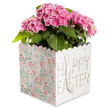American Greetings Happy Easter Flower Poted Plant Gift Bag, 7" x 7" x 7"