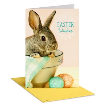 American Greetings Easter Card - Cute Bunny & Colorful Eggs , 6.75" x 4.625"