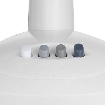 CE North America Desk Fan, 12''