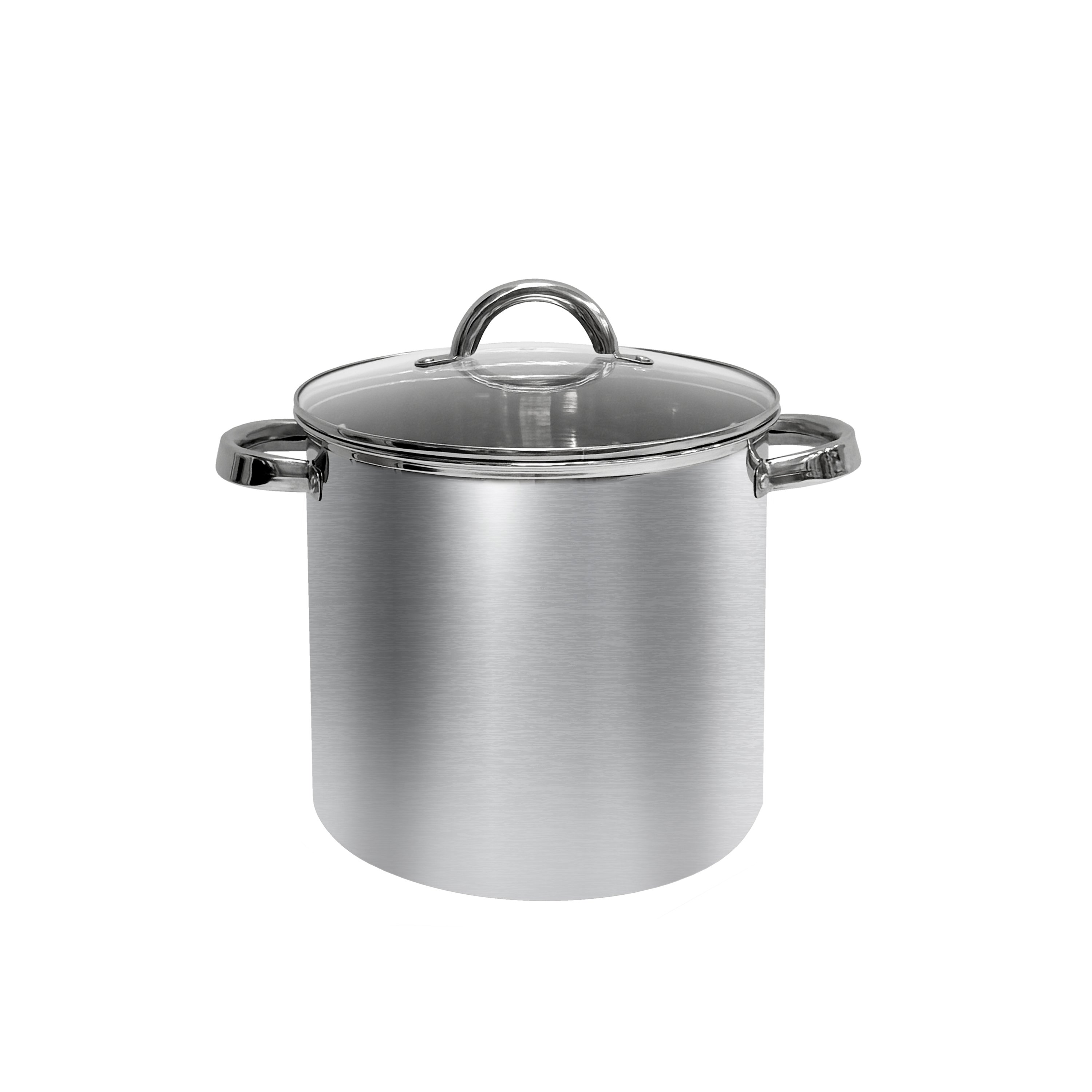 Ember & Sear Stainless Steel Induction Stock Pot - Shop Stock pots ...