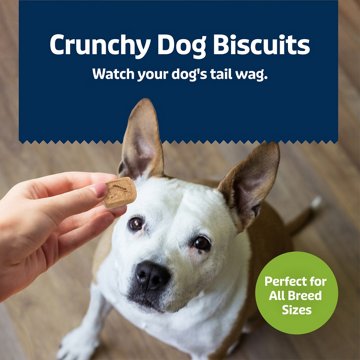 Blue Buffalo Health Bars Mini Dog Biscuits - Apples & Yogurt