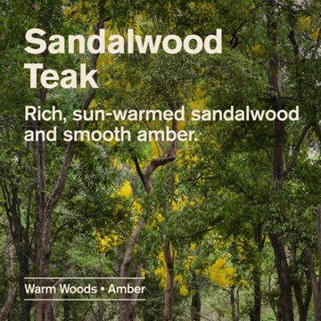Every Man Jack Men's Hydrating Body Wash - Sandalwood